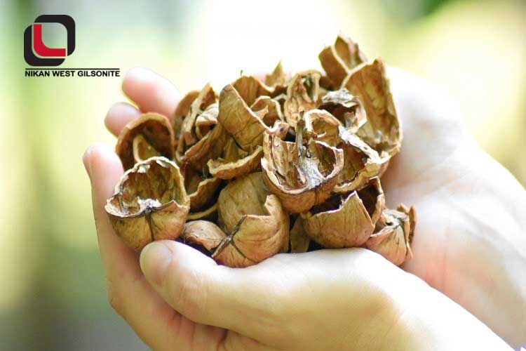 روش سنتی درست کردن پودر پوست گردو